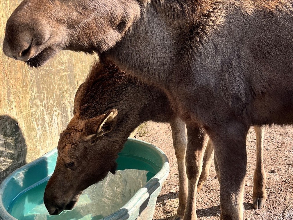 23-02-13 14-13-02 4215